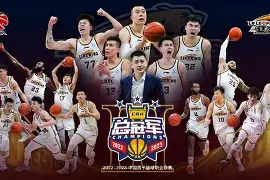 辽宁队外援最新动态