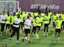 海登海姆vs法兰克福比赛分析